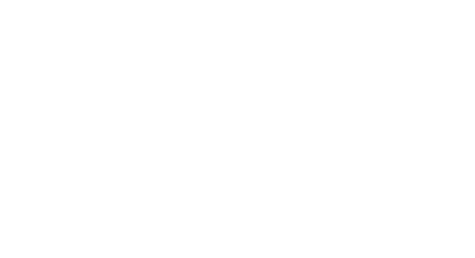 Senior Designa